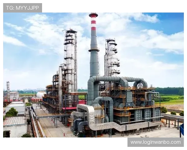 万博max体育：多样化体育项目覆盖全球赛事介绍