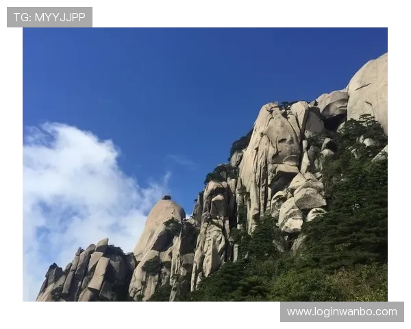 万博manbetx登录入口确保玩家快速进入博彩平台的便捷途径分析