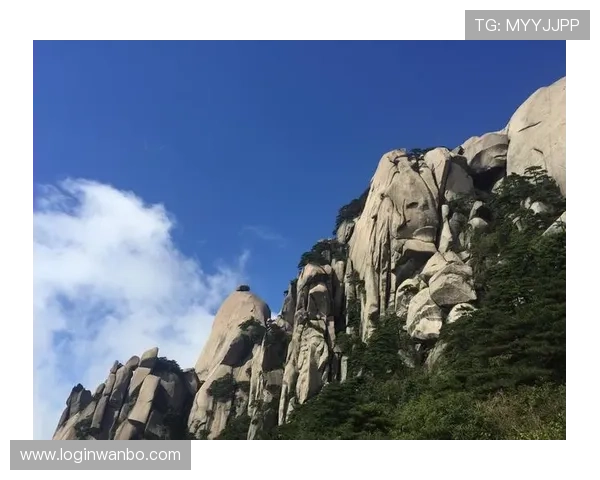 万博官方manbetx网页版注册登录流程详解，帮助新手快速掌握账号注册与登录技巧